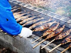 �V���̏t�̕������u�V���J�h�Ă��܂�v�̎ʐ^1