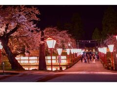 �V���t�܂�̎ʐ^1