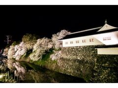 ����ύ���̎ʐ^1