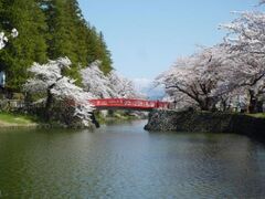 �����������̍��̎ʐ^1