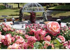 ����o�������@�o���܂�̎ʐ^1