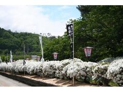 ���������@�����܂�̎ʐ^1