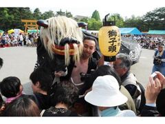 �Ȃ��������q�܂�̎ʐ^1