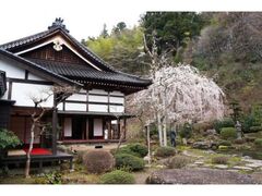 �ʐ쎛�̍��̎ʐ^1