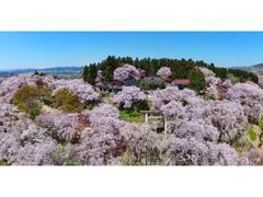 �ԓ�������܂�̎ʐ^1