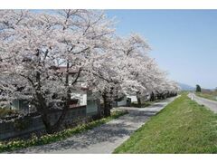 �ŏ���h��{���̊J�Ԃ̎ʐ^1