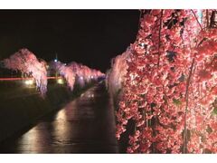 �q�Ð삵��������C�g�A�b�v�̎ʐ^1