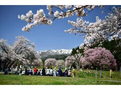 ���炽���ÓT���̗�������܂�̎ʐ^1