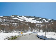 ���C�u���[���C���@��̉�L�̎ʐ^1