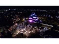 �߃���������C�g�A�b�v�̎ʐ^1