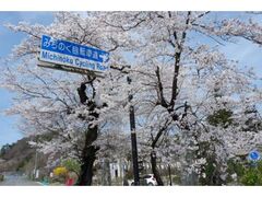 �����P��̍��̎ʐ^1