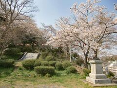 ���킫���{���򂳂���܂�̎ʐ^1