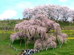 ���P������܂�̎ʐ^1