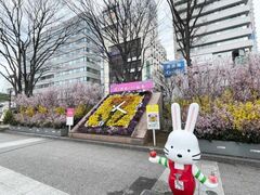 �ӂ����܉Ԃ̂܂��t�F�X�e�B�o���̎ʐ^1