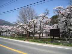 ���Ƃ̍��̎ʐ^1