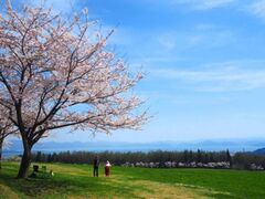 ���c�㒬���c�q��̍��̎ʐ^1