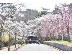 ��Ȃ����]�̐X�����̍��̎ʐ^1