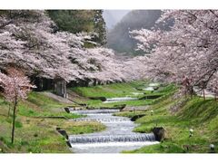 �ω�����̍��̎ʐ^1