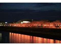 �{��������C�g�A�b�v�̎ʐ^1