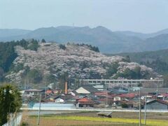 �����隬�̍��̎ʐ^1