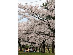 ��a����������C�g�A�b�v�̎ʐ^1