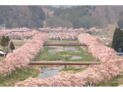 �Ĉ��{���̎ʐ^1