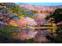 ���c�R���R�����̍��̎ʐ^1