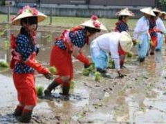 �}�Ԉ�א_�Ё@��c�A�Ղ̎ʐ^1