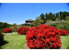 ��y���̂��̎ʐ^1