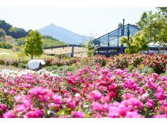 ���΂炫�t�����[�p�[�N�̃o���̎ʐ^1