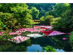 ���Ή��O���u�s�I�j�[�K�[�f���v�̎ʐ^1