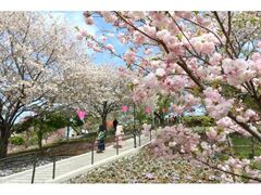 ���d���܂�̎ʐ^1