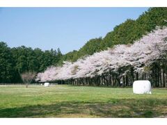 �ߐ{��{���q��̍��̎ʐ^1