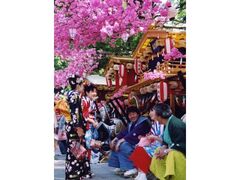 �����퐶�Ղ̎ʐ^1