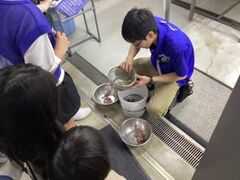 �Ȃ����퐅�V���@�o�b�N���[�h�c�A�[�X�y�V�����̎ʐ^1