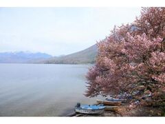 ���T���΂̍��̎ʐ^1