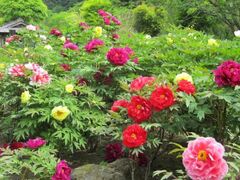 ��������@�ڂ���܂�̎ʐ^1