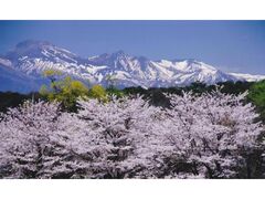 ��������̂�����̎ʐ^1