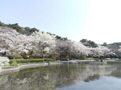 �G���X�����̍��̎ʐ^1