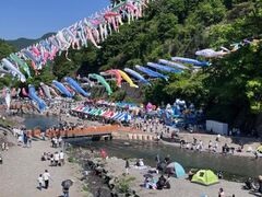 �_�����@��̂ڂ�Ղ�̎ʐ^1