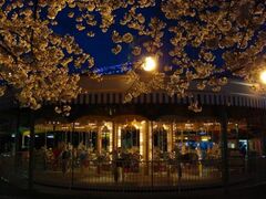 �t�̖�ԉc�Ɓu����݃i�C�g�v�̎ʐ^1