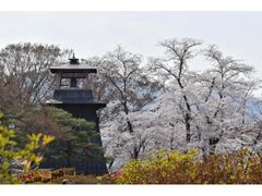 ���c�������܂�̎ʐ^1