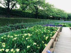 ���Ă΂₵�ԏҊ��܂�̎ʐ^1