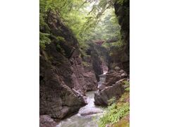 ���w�薼���u��ȋ��v�V�΃E�H�[�L���O�̎ʐ^1