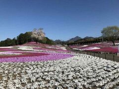 �݂��Ǝō��܂�̎ʐ^1