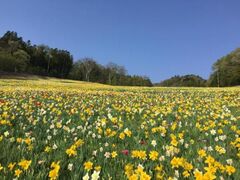 �t�̉ԉ��u�m�����݂Ȃ��݃t�����[�K�[�f���v�I�[�v���̎ʐ^1