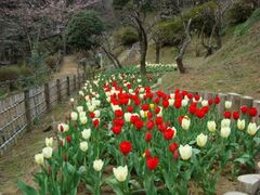 �`���[���b�v�܂�̎ʐ^1