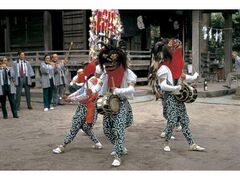 �s�K�c�̎��q���̎ʐ^1