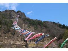 ���R�̌�̂ڂ�̎ʐ^1