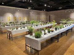 �֓��R�쑐�W�̎ʐ^1